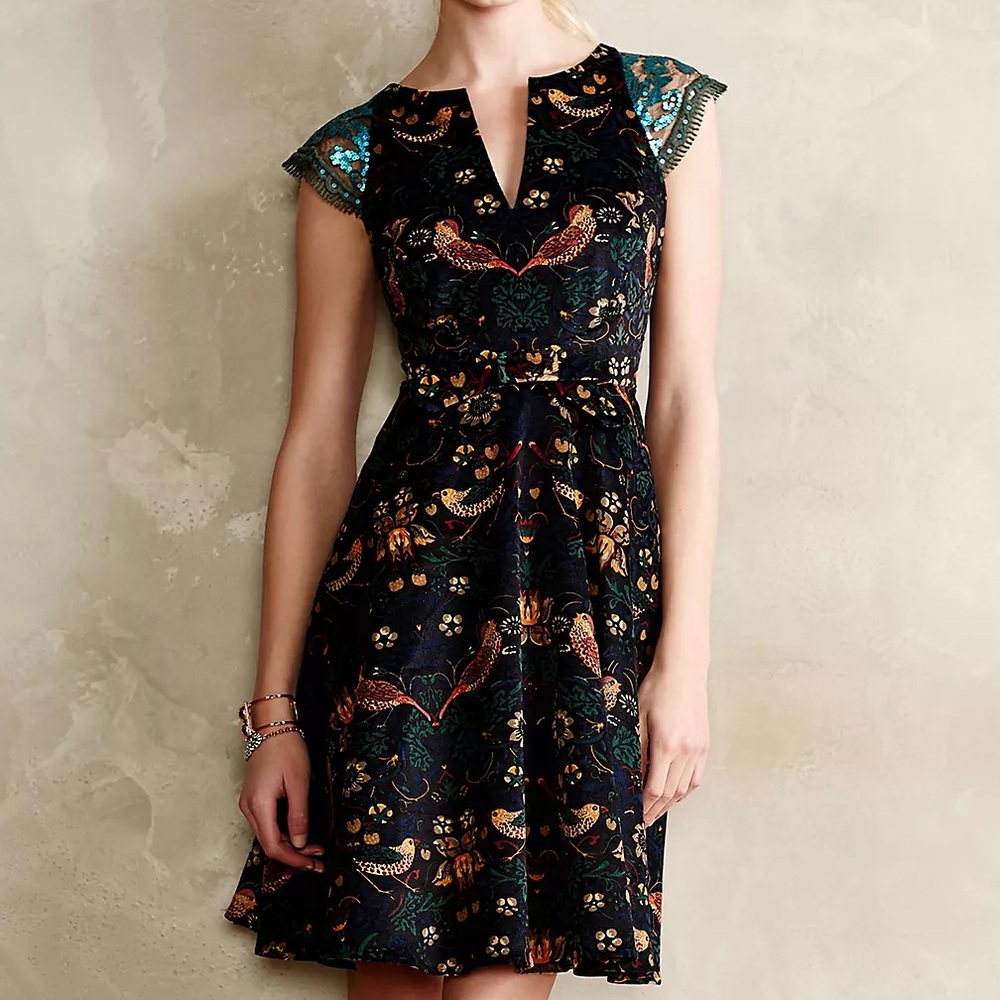EVA FRANCO x ANTHROPOLOGIE LARKSONG DRESS | SIZE 6P